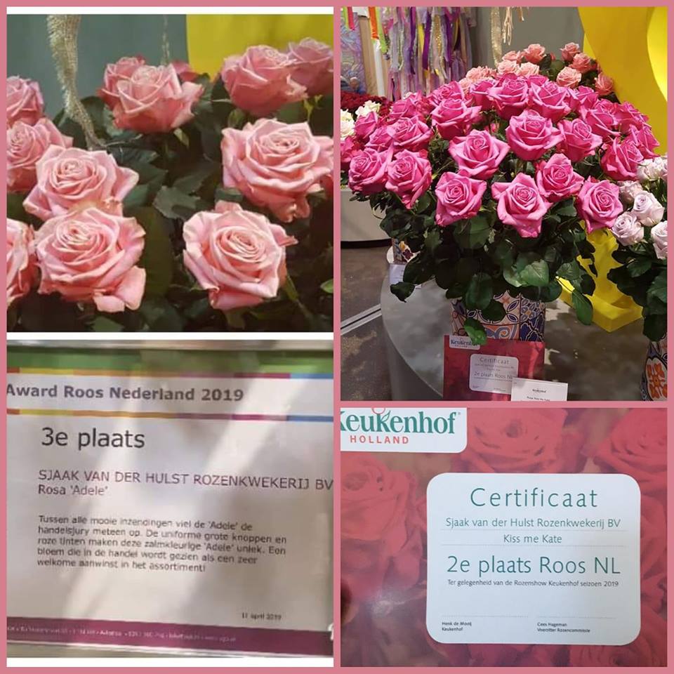 Prices at the rose show at the Keukenhof