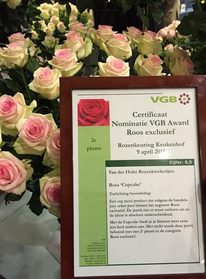 Nominatie VGB Award Roos Exclusief