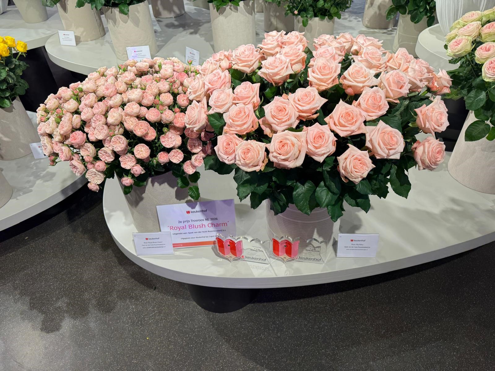Keukenhof wedstrijd 2026